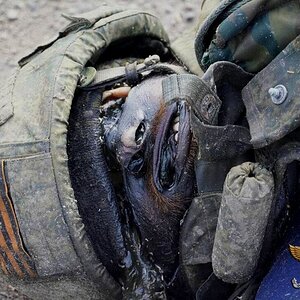 DH - Sldiers' Horror Faces and Bodies of Russia-Ukraine Conflict 25.jpg