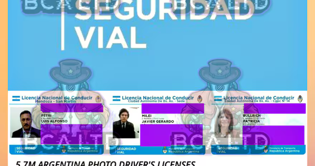 argentina-licencias-conducir.png